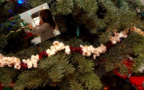 Christmas 20097.jpg